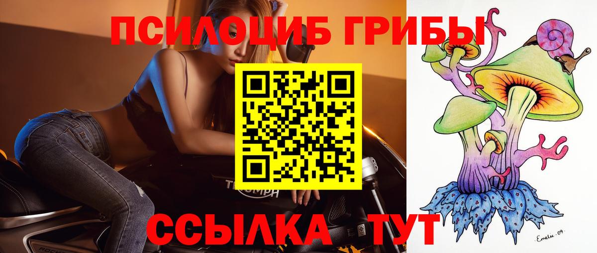 Кисловодск  Галлюциногенные грибы GOLDEN TEACHER  Галлюциногенные грибы MAGIC MUSHROOMS  Вход с VPN 