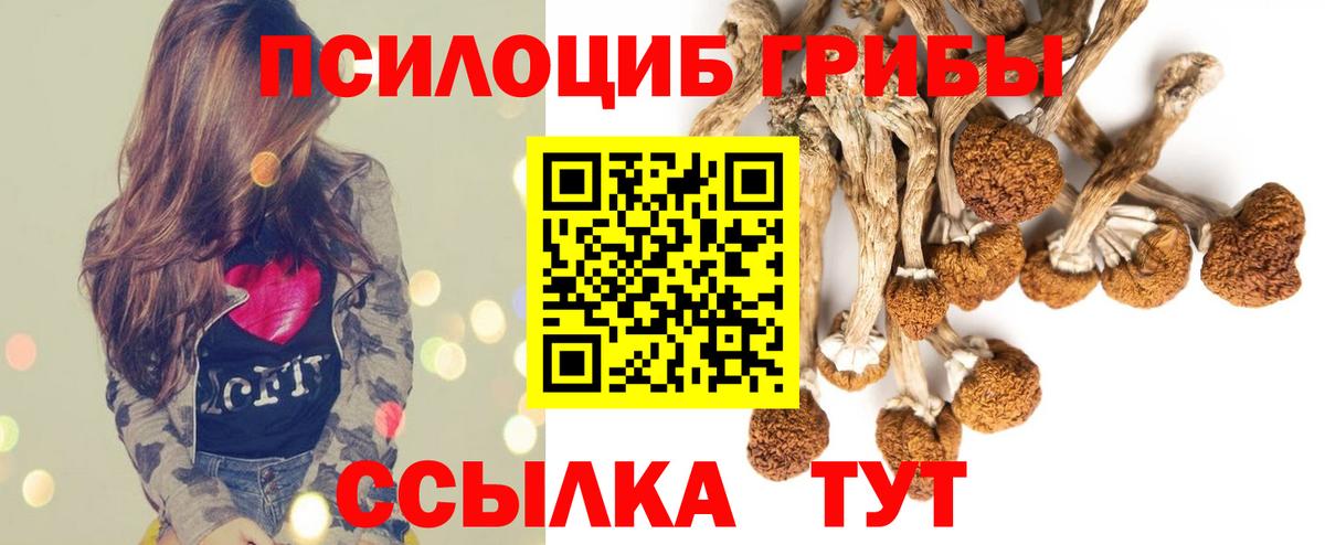 Галлюциногенные грибы Psilocybine cubensis Кисловодск